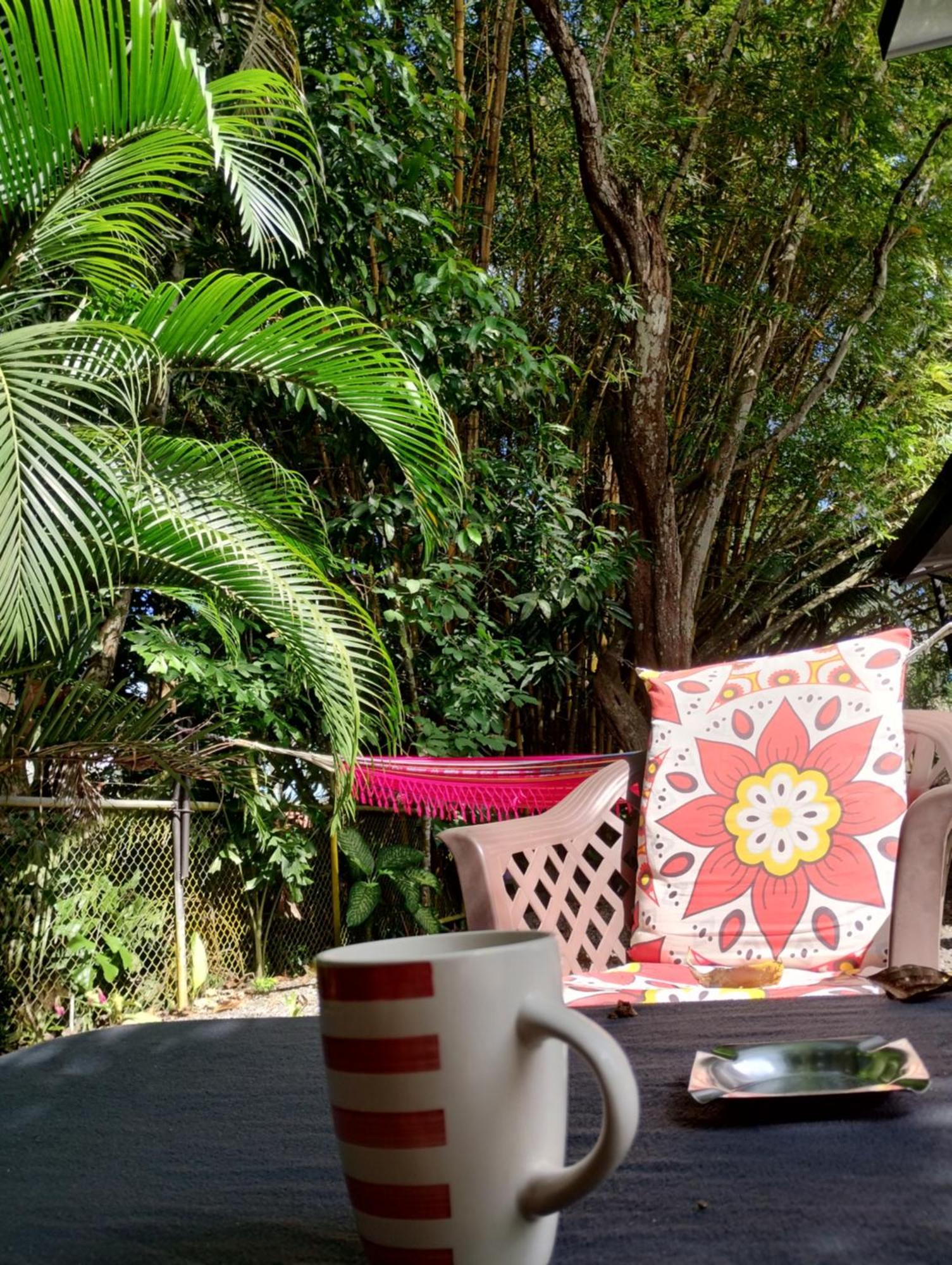 Casajungla Hostel 자코 외부 사진
